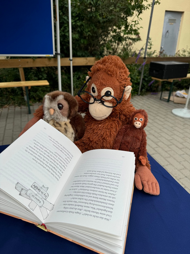 Sotffaffe liest